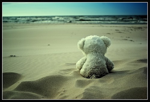 alone_bear