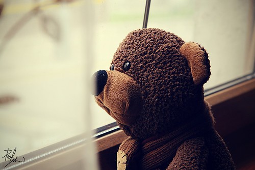 wating,sadly,teddy,bear,love,alone,window-f33f9870b987855ef95f1c1d922afd35_h