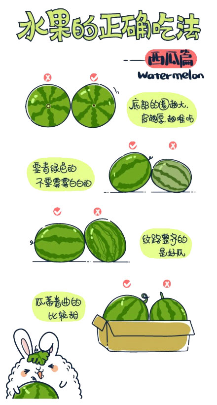 watermelon