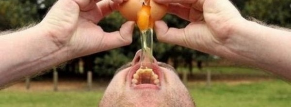 mozheektmey