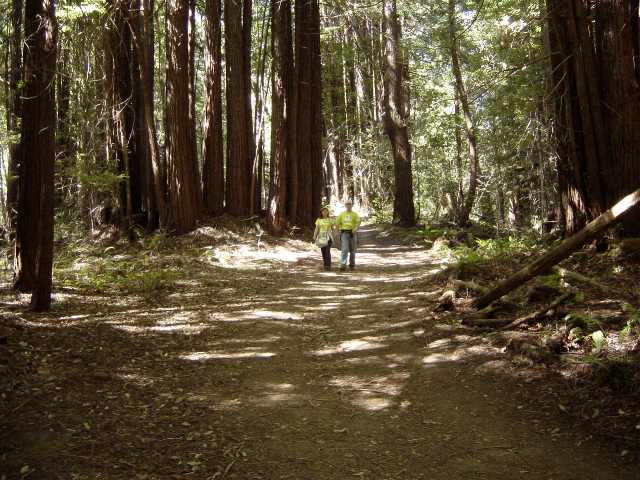 ../Images/DSC07429a.jpg