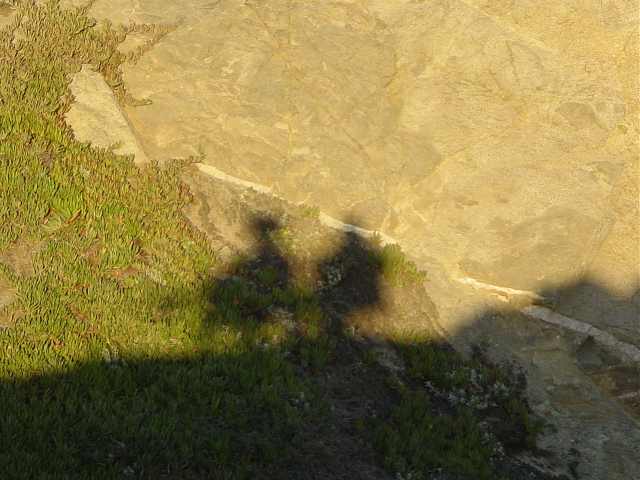 ../Images/Dsc07492.jpg