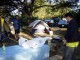 Thumbs/tn_DSC07367a.jpg