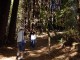Thumbs/tn_DSC07385a.jpg