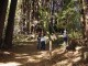 Thumbs/tn_DSC07386a.jpg
