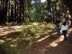 Thumbs/tn_DSC07387a.jpg