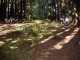 Thumbs/tn_DSC07388a.jpg