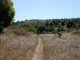 Thumbs/tn_DSC07397a.jpg