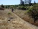 Thumbs/tn_DSC07398a.jpg