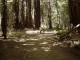 Thumbs/tn_DSC07429a.jpg