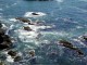 Thumbs/tn_DSC07438a.jpg
