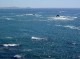 Thumbs/tn_DSC07441a.jpg