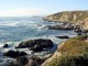 Thumbs/tn_DSC07446a.jpg