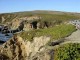 Thumbs/tn_DSC07450a.jpg