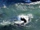 Thumbs/tn_DSC07455a.jpg