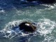 Thumbs/tn_DSC07456a.jpg
