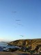 Thumbs/tn_DSC07469a.jpg