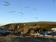 Thumbs/tn_DSC07482a.jpg