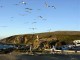 Thumbs/tn_DSC07485a.jpg