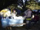 Thumbs/tn_Dsc07376.jpg
