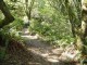 Thumbs/tn_Dsc07395.jpg