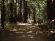 Thumbs/tn_Dsc07428.jpg
