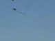 Thumbs/tn_Dsc07467.jpg