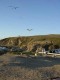Thumbs/tn_Dsc07468.jpg