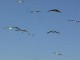 Thumbs/tn_Dsc07478.jpg