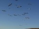 Thumbs/tn_Dsc07480.jpg