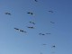 Thumbs/tn_Dsc07489.jpg