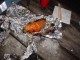 Thumbs/tn_Dsc07559.jpg